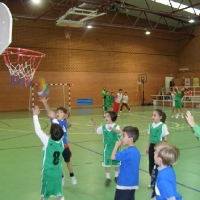 2010 torneo_baloncesto_2010